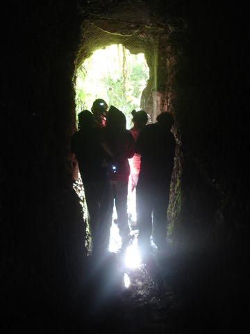 Cueva en Morelos. Estudio de murciélagos.